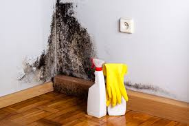 Best Mold Odor Removal Services  in Pasco, WA